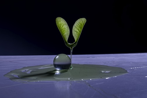 Green leaves forming a globe symbolizing CO2 reduction impact