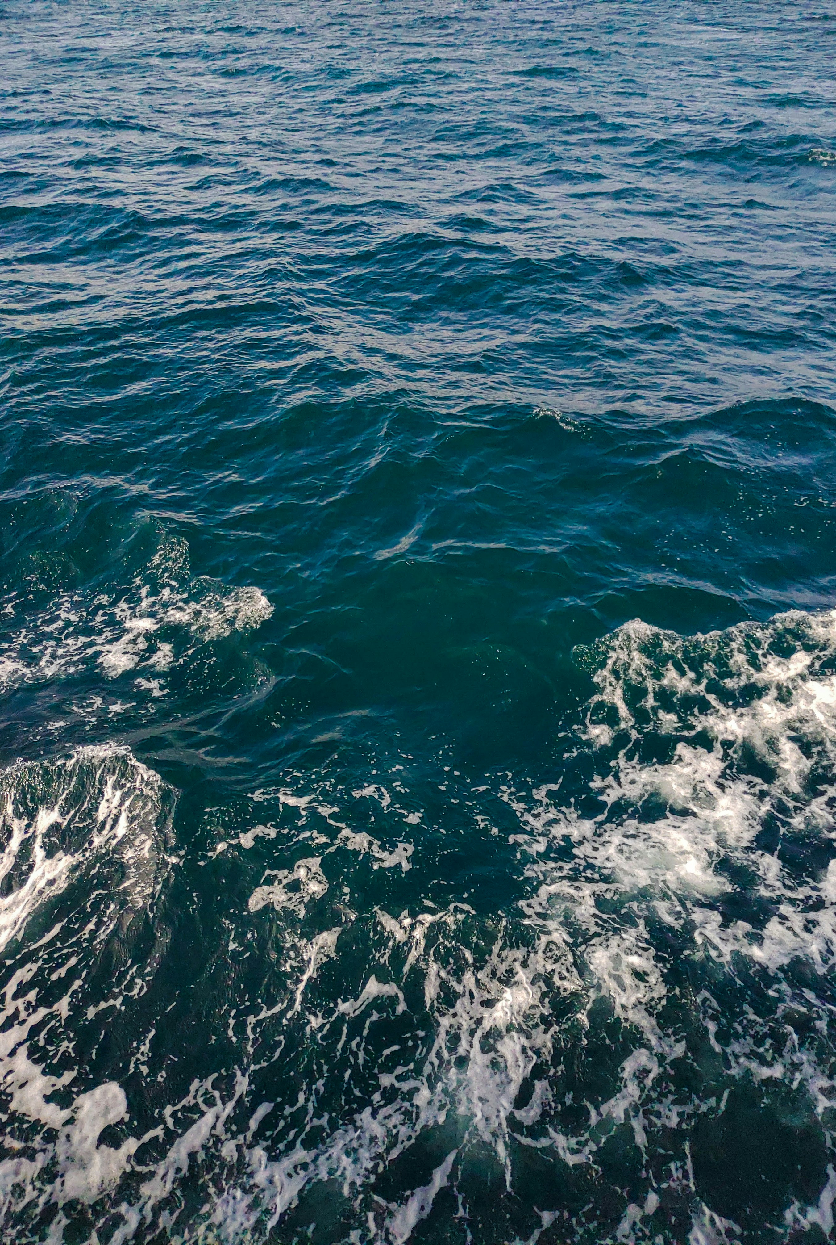 Photo by thaypellerin