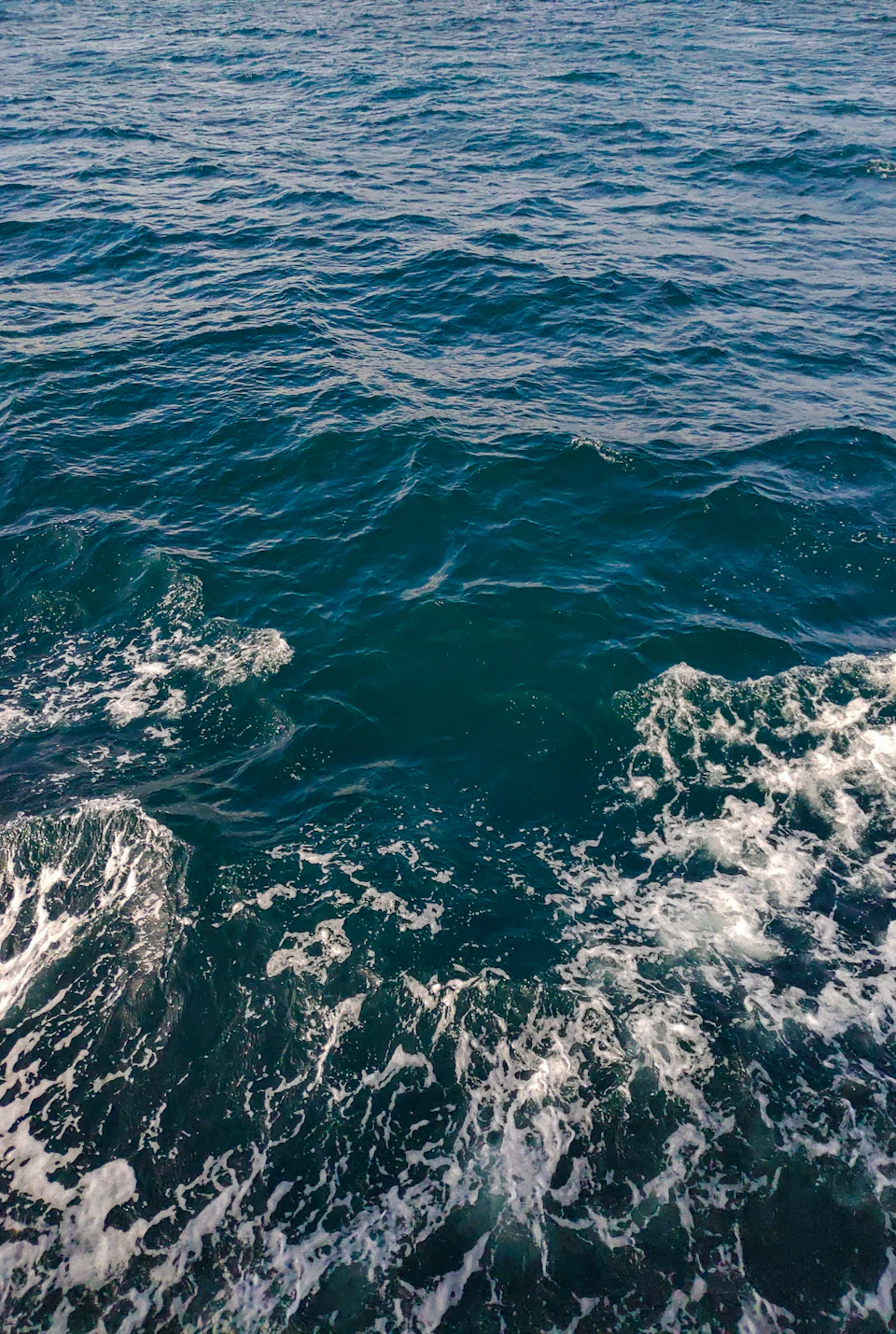 Serene ocean scene with light blue water and white foam on the surface
