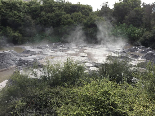 Rotorua geysers, New Zealand