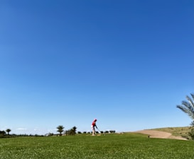 A person in a red shirt and white shorts is playing golf on a well-maintained green course with clear blue skies. Palm trees are visible in the background along with a sandy area on the right.