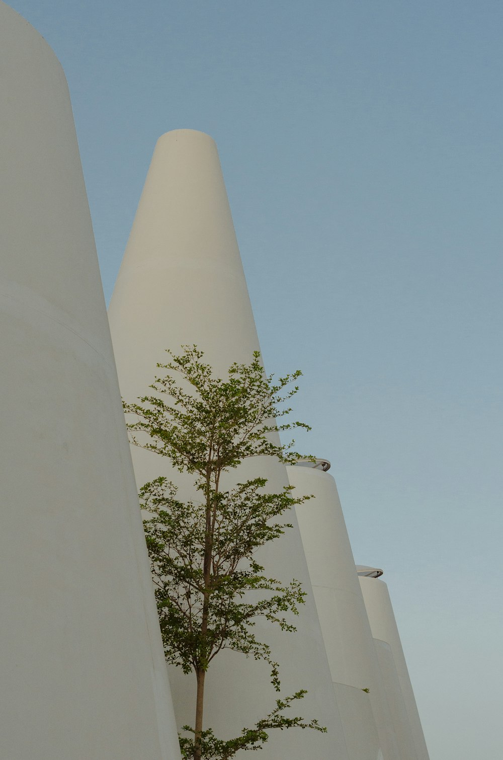 a tall white building with a tree in front of it