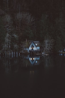 A cozy, dimly lit cabin is nestled among dense, dark trees, with its warm lights reflecting on a calm lake. The scene is tranquil yet mysterious, surrounded by the deep green and brown tones of the forest.