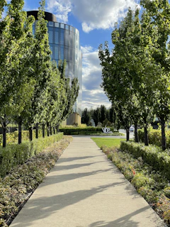 a walkway in the middle of a park with a building in the background