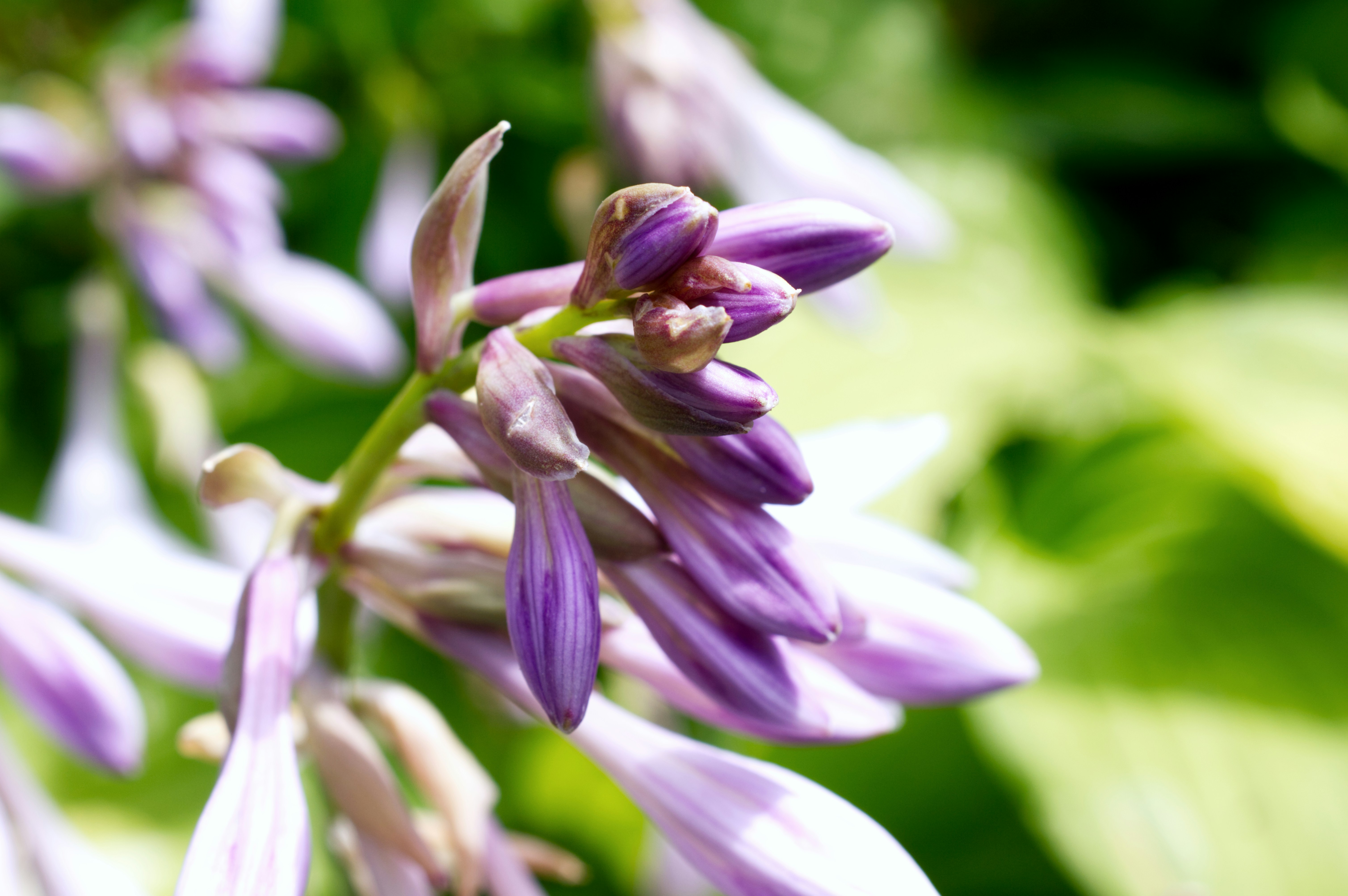 Photo by artistonthemove