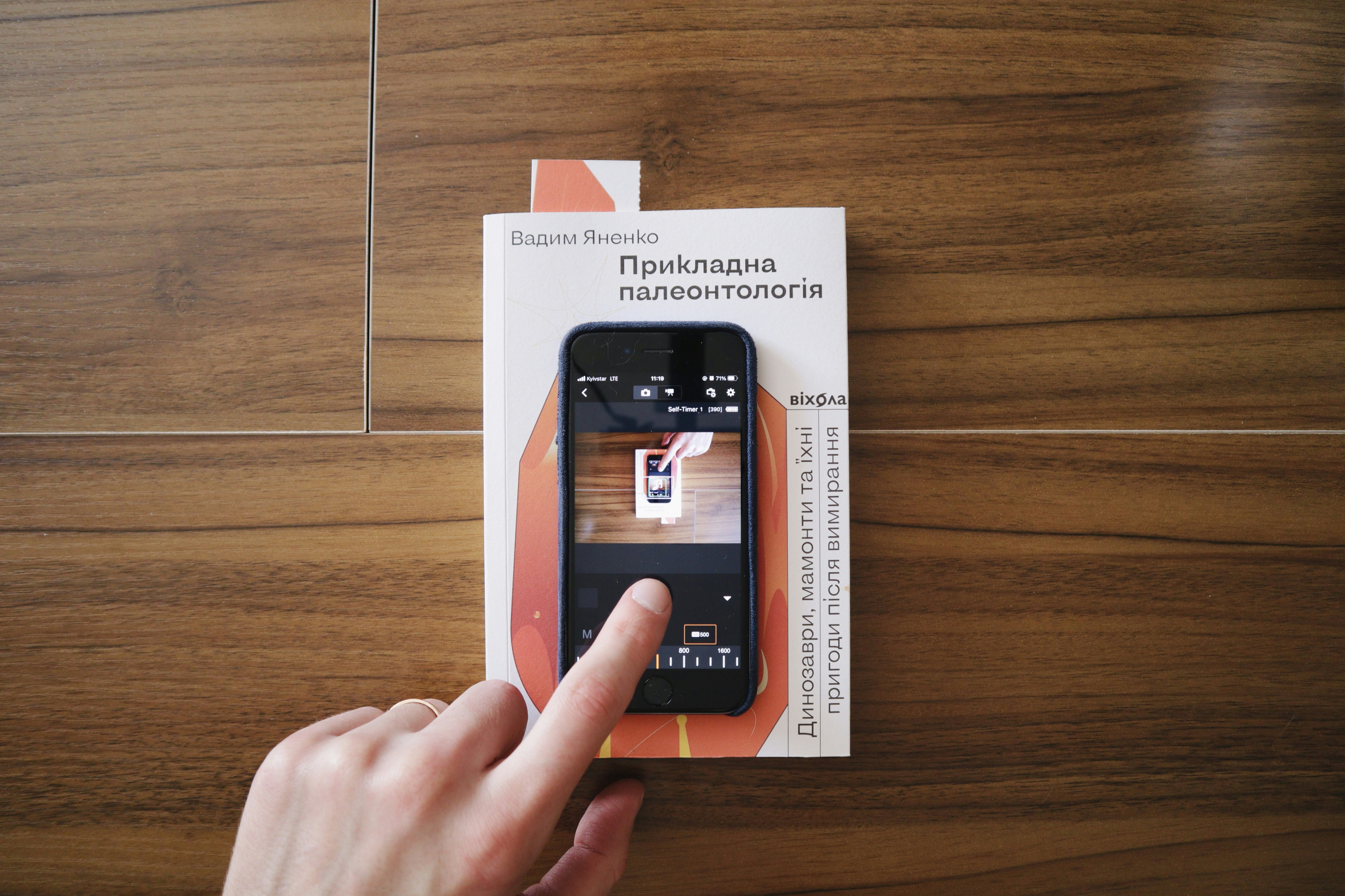 Photo by timesnewroman14