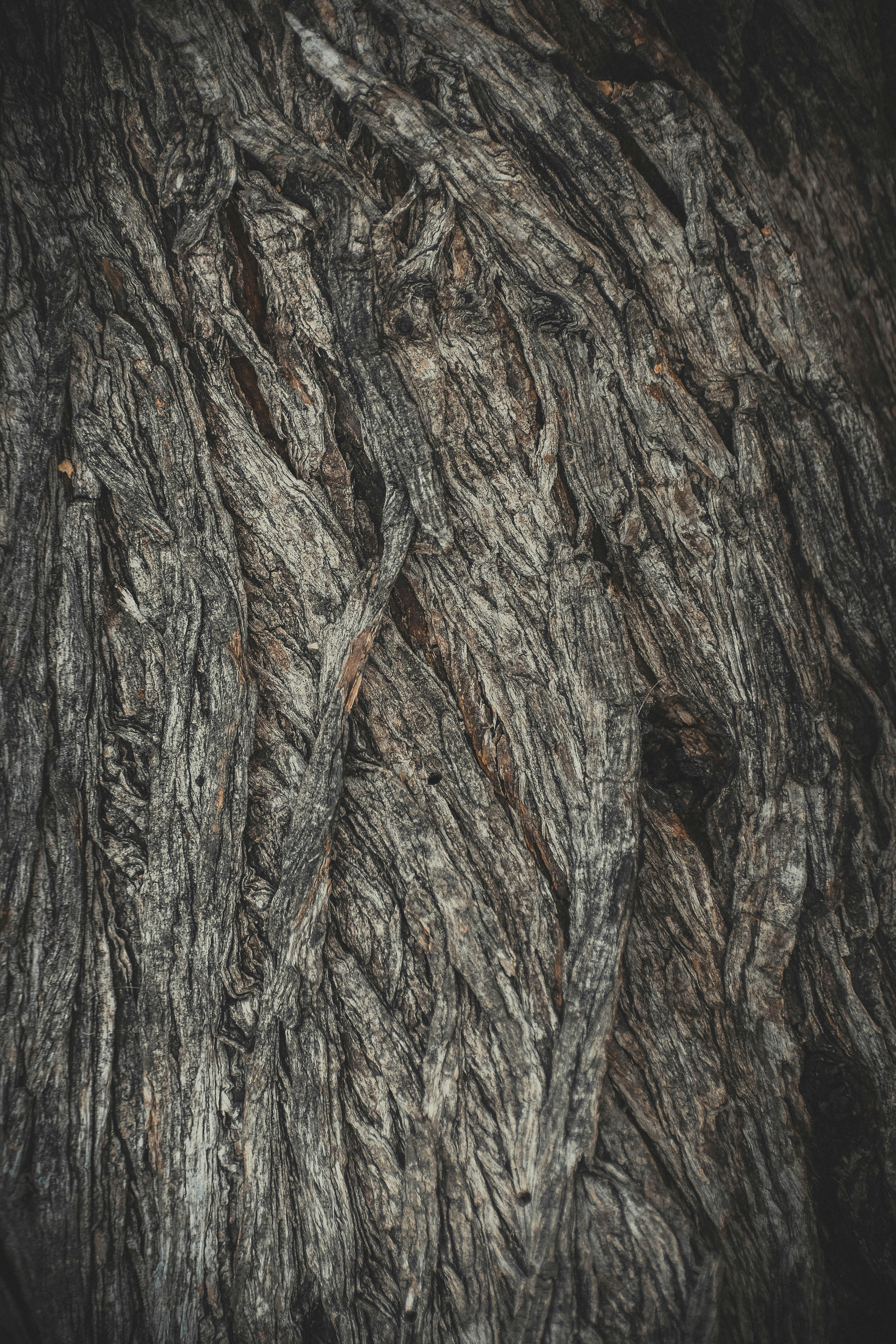 Photo by navi_photography