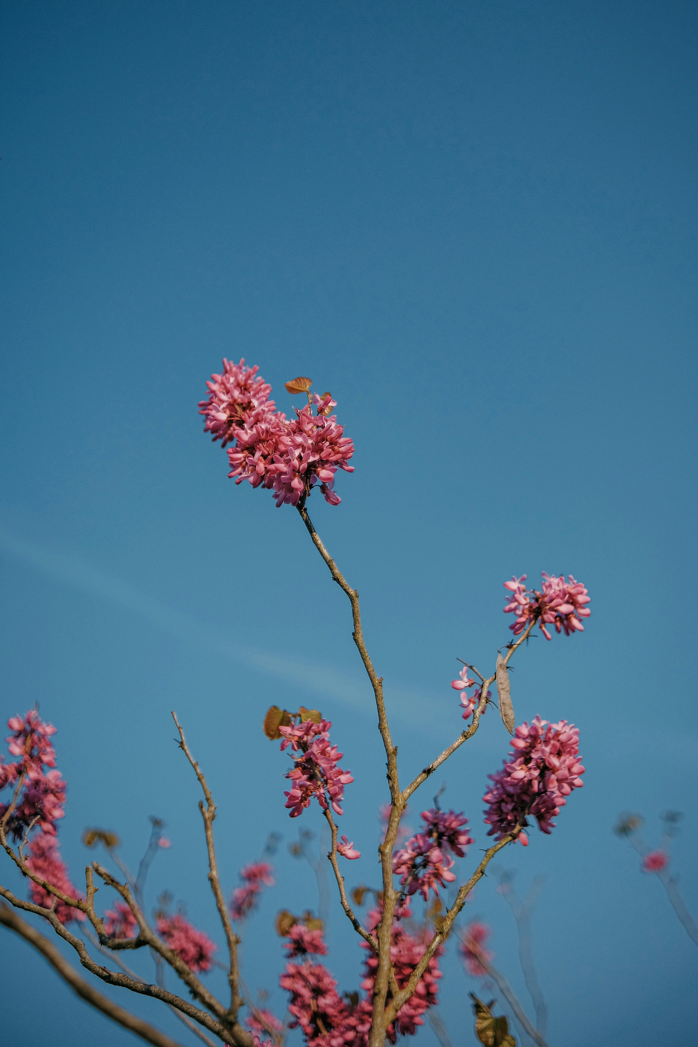 Photo by insungpandora