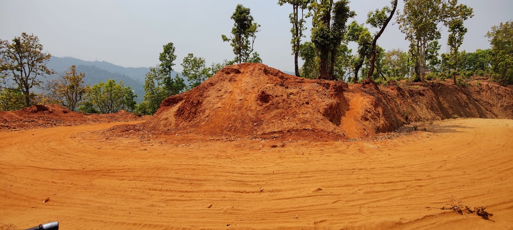 Un mucchio di terra seduto nel mezzo di una foresta