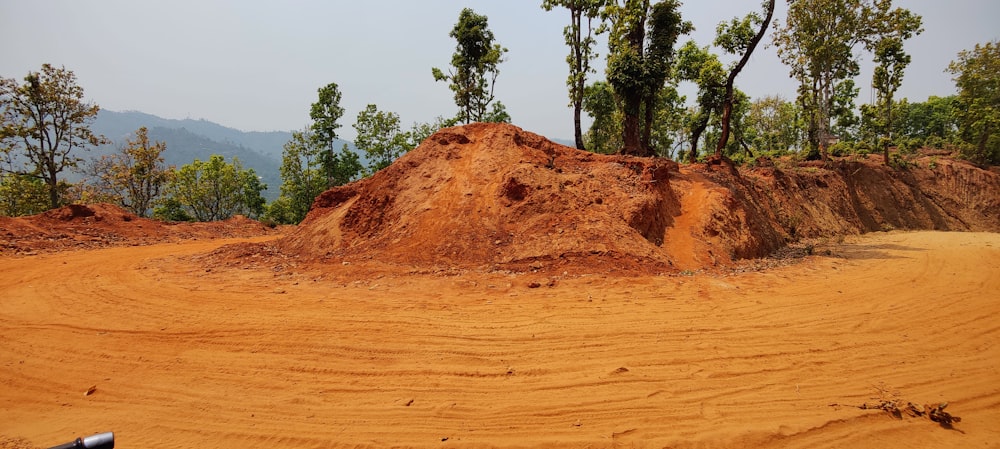 a pile of dirt sitting in the middle of a forest