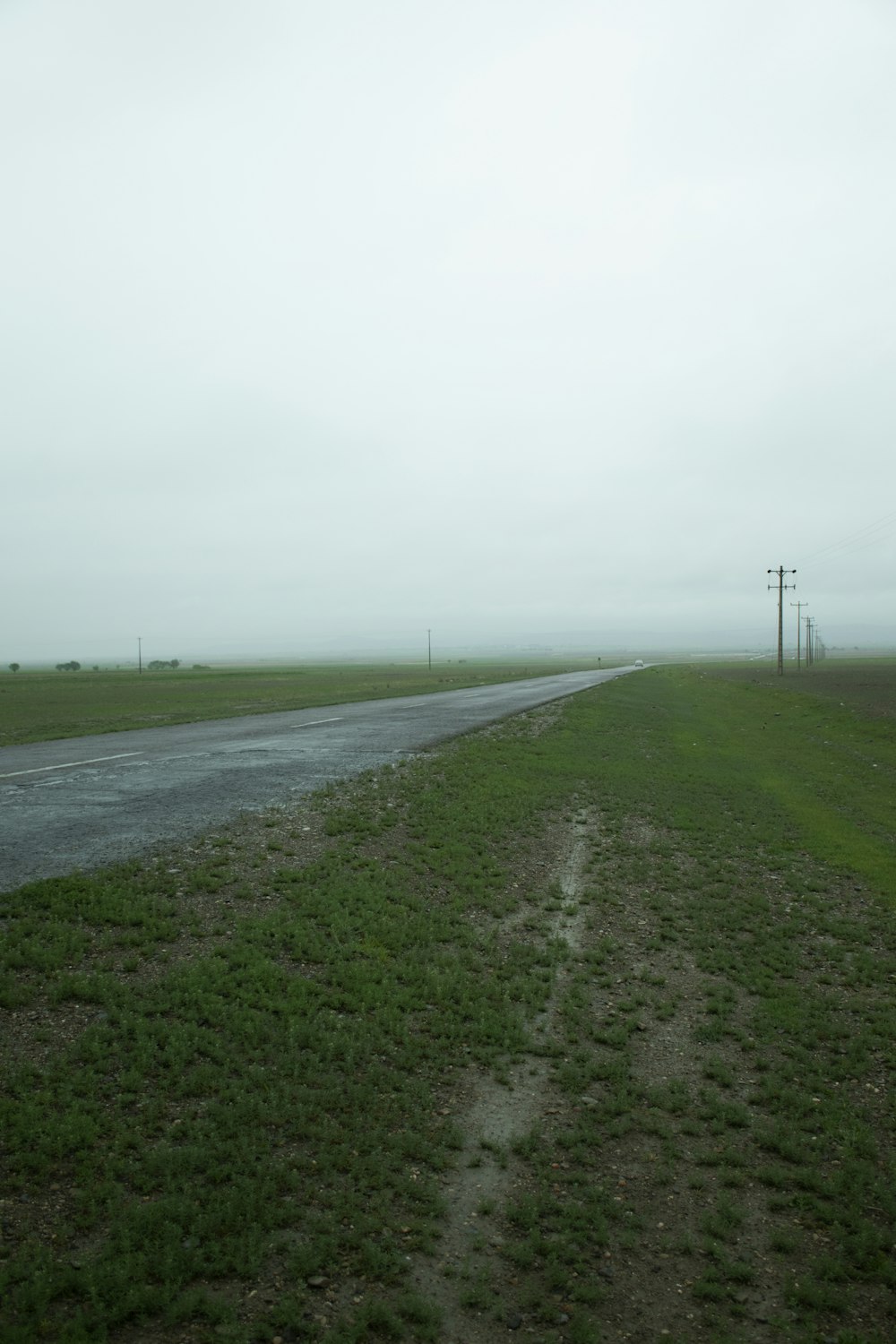 a road in the middle of a grassy field