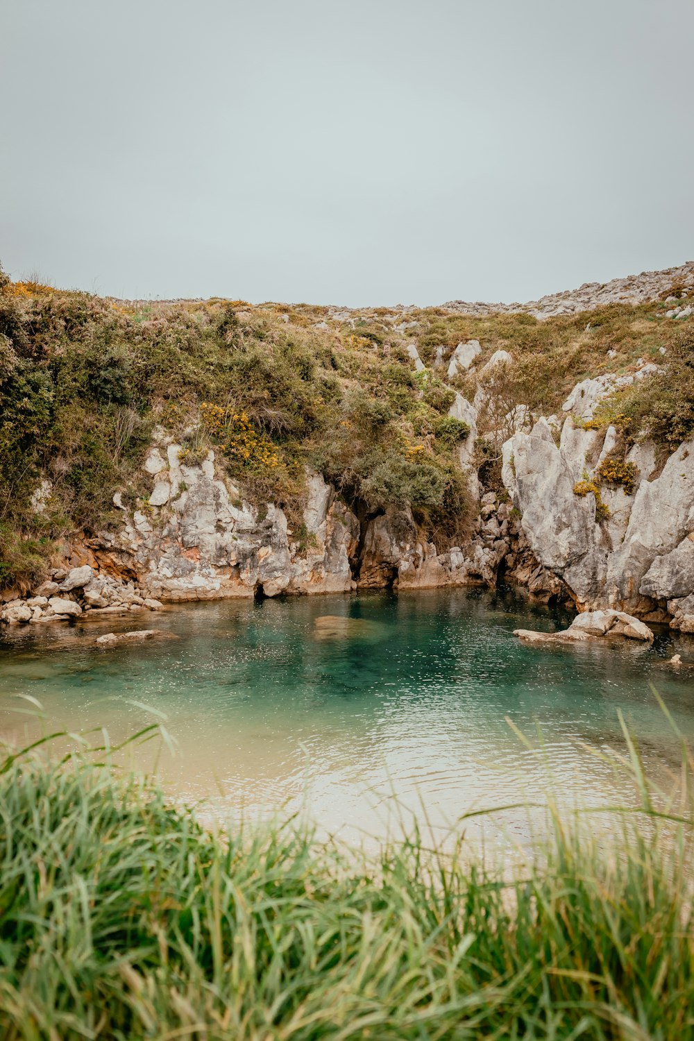 a body of water surrounded by a lush green hillside