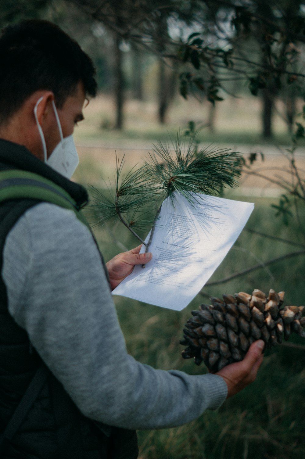 a man wearing a face mask holding a pine cone