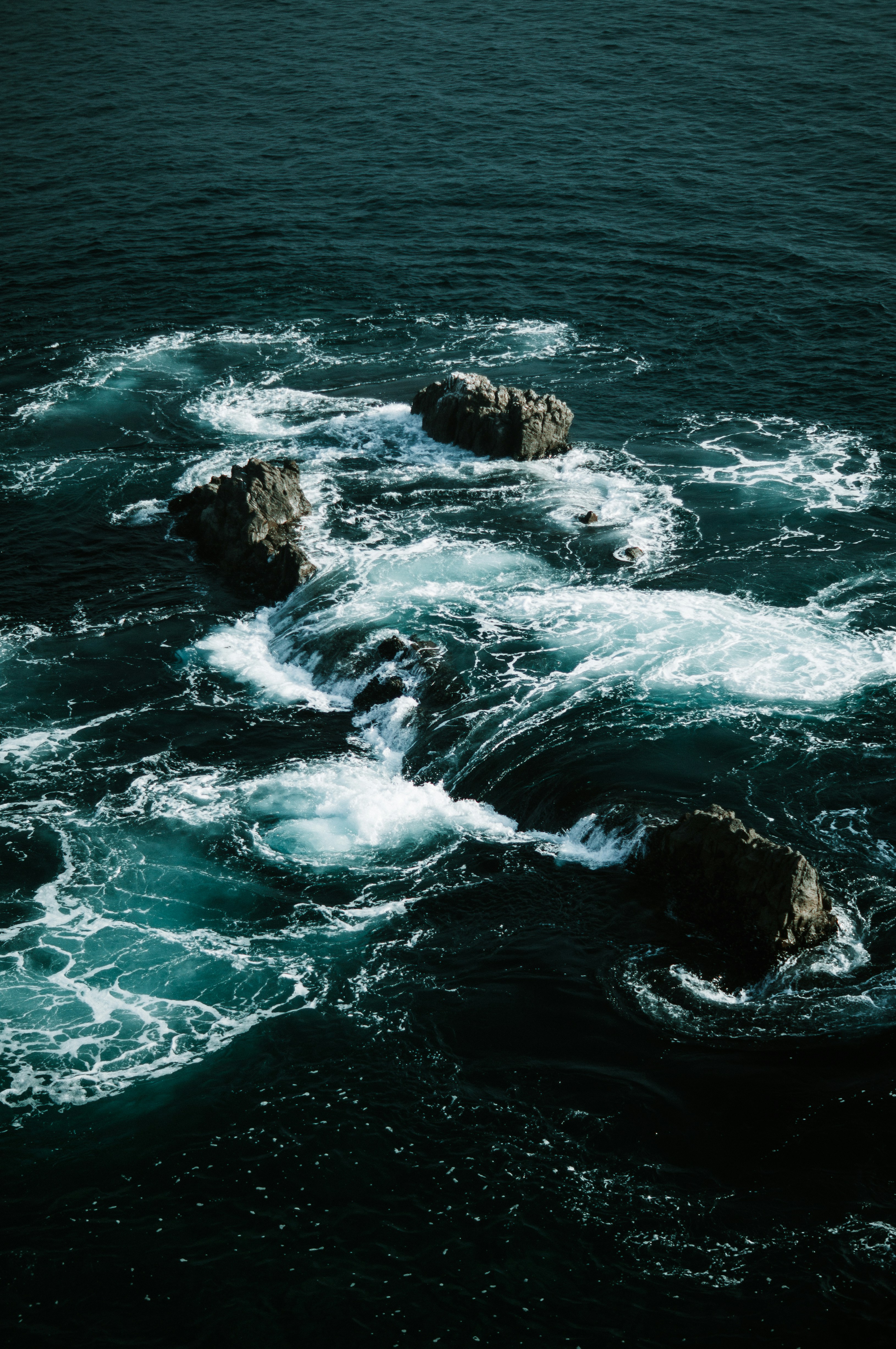 Photo by milo_contreras