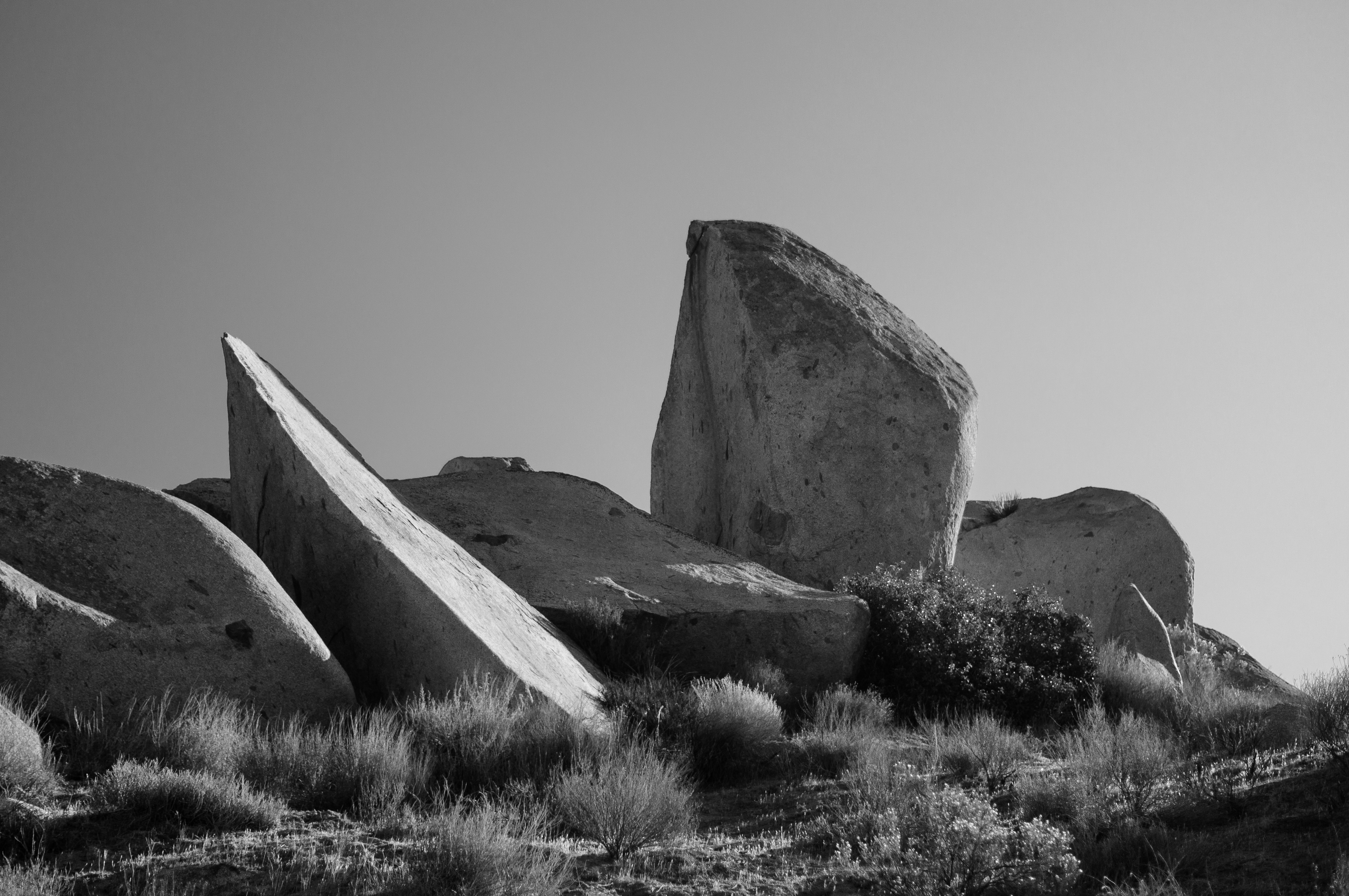 Photo by milo_contreras