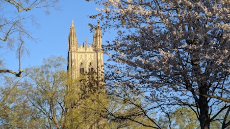 a tall cathedral towering over a forest filled with trees