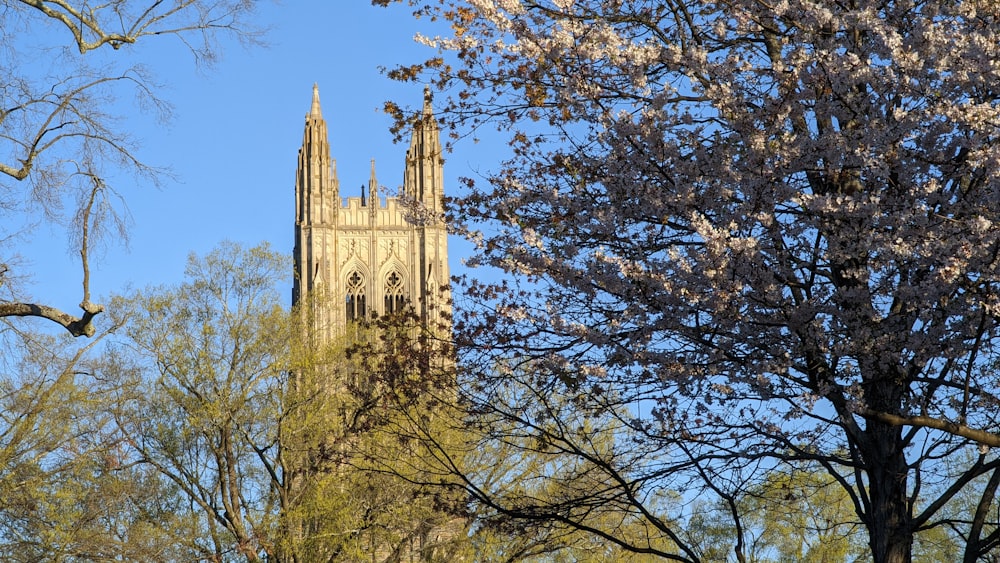 a tall cathedral towering over a forest filled with trees