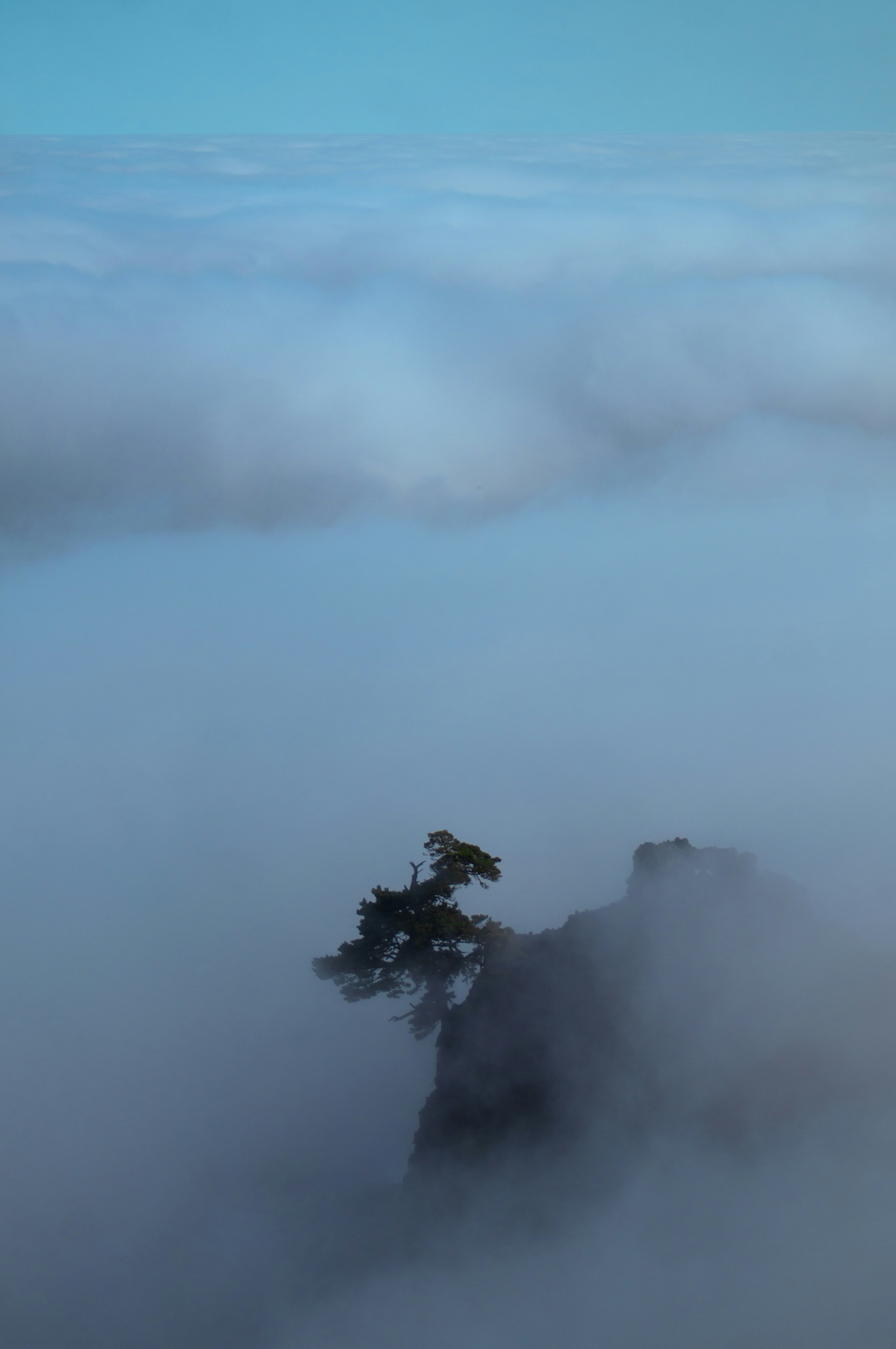 Photo by milo_contreras