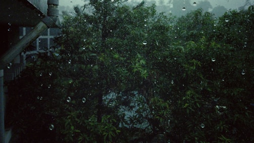 Raindrops on a glass window with a view of a lush green forest or garden. The scene appears dark and moody, likely due to overcast weather. An eavestrough is visible in the top left corner.