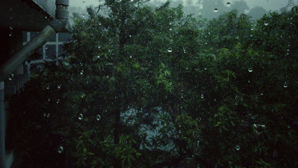 Raindrops on a glass window with a view of a lush green forest or garden. The scene appears dark and moody, likely due to overcast weather. An eavestrough is visible in the top left corner.