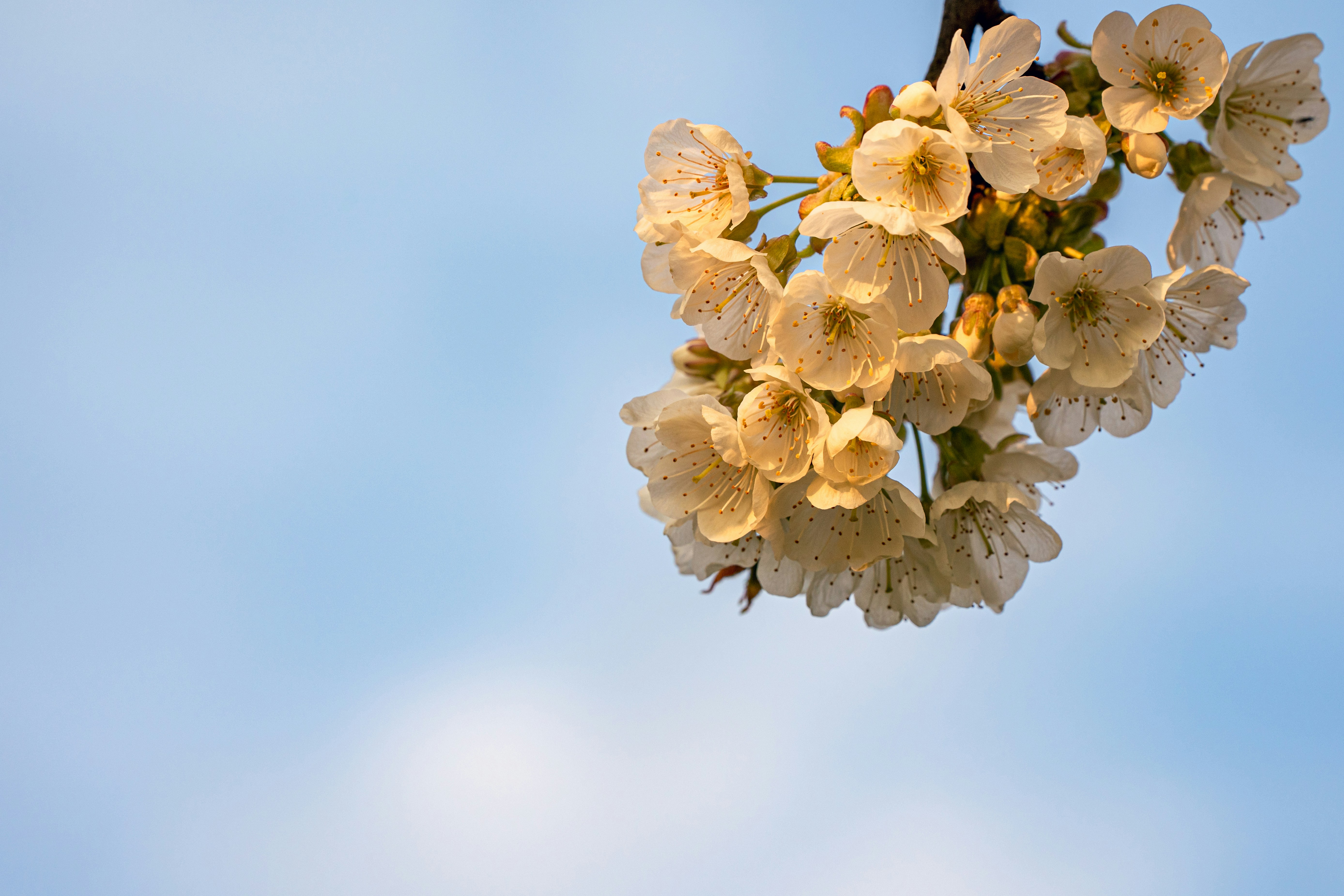 Photo by philipp_hofmann