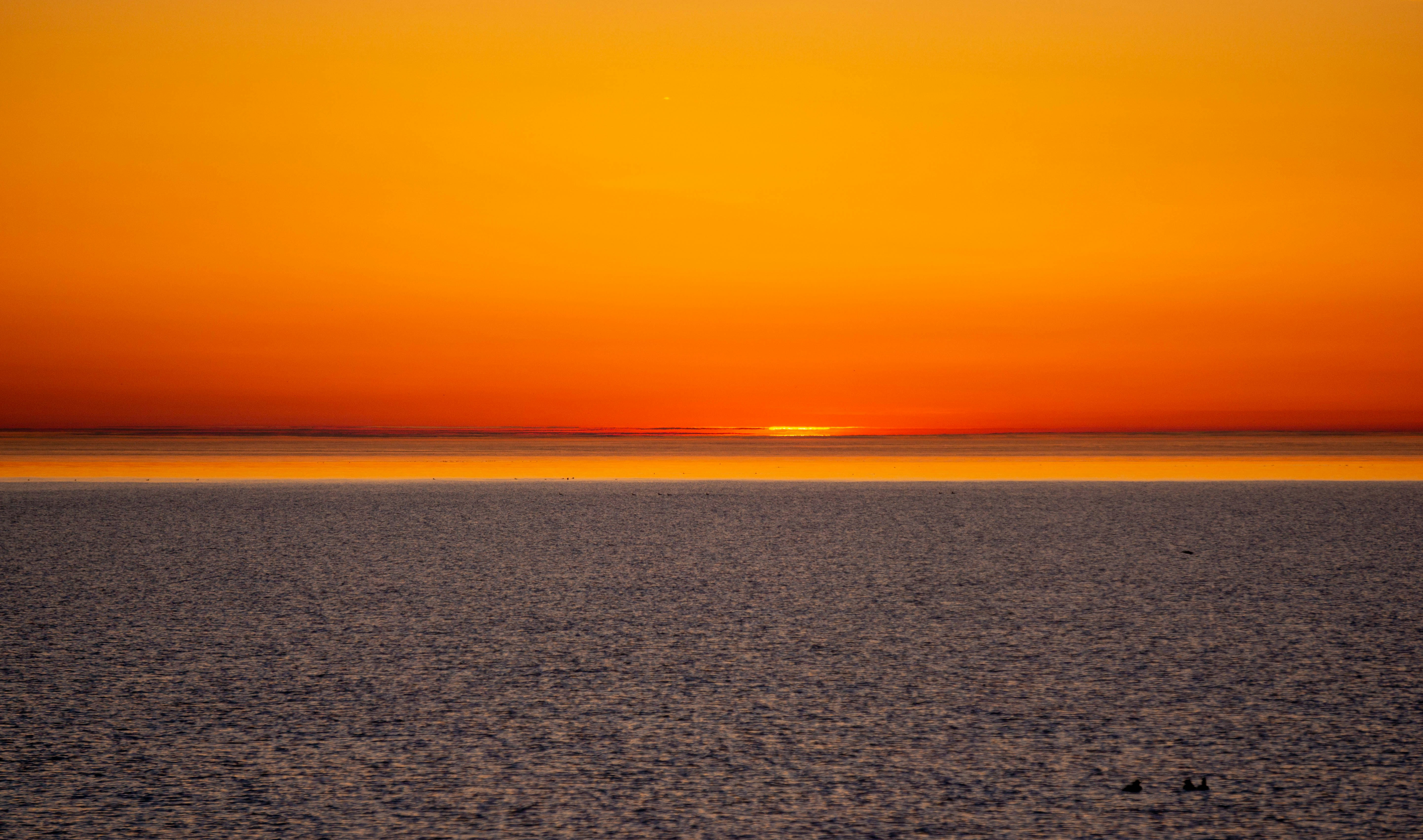 Photo by schweissingerjr