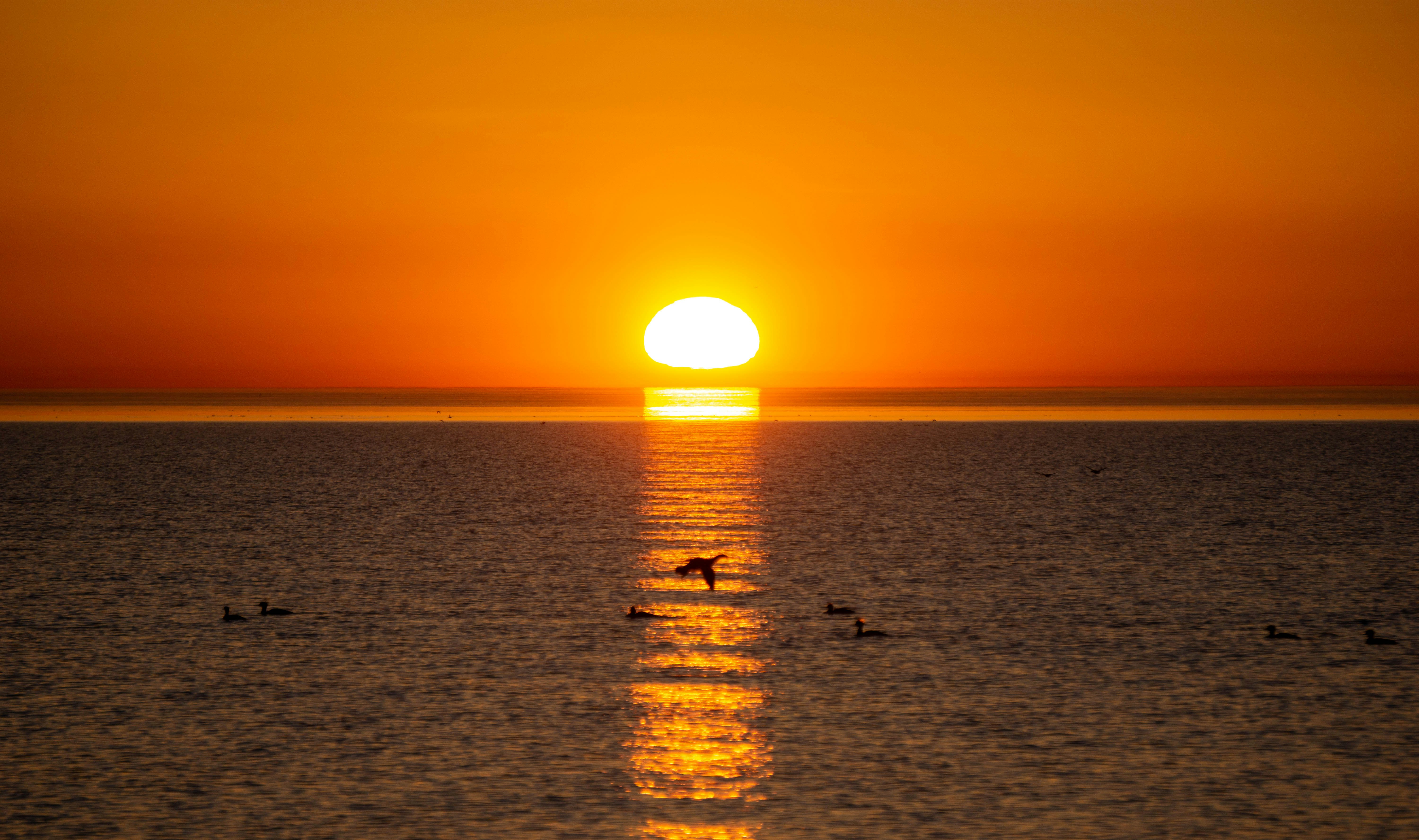 Photo by schweissingerjr