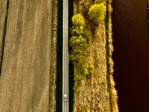 An aerial view showcasing a straight road dividing a landscape with agricultural fields on one side and a water body on the other. Trees with lush green foliage line the road, providing a contrast to the fields and water. A car is seen traveling along the road.
