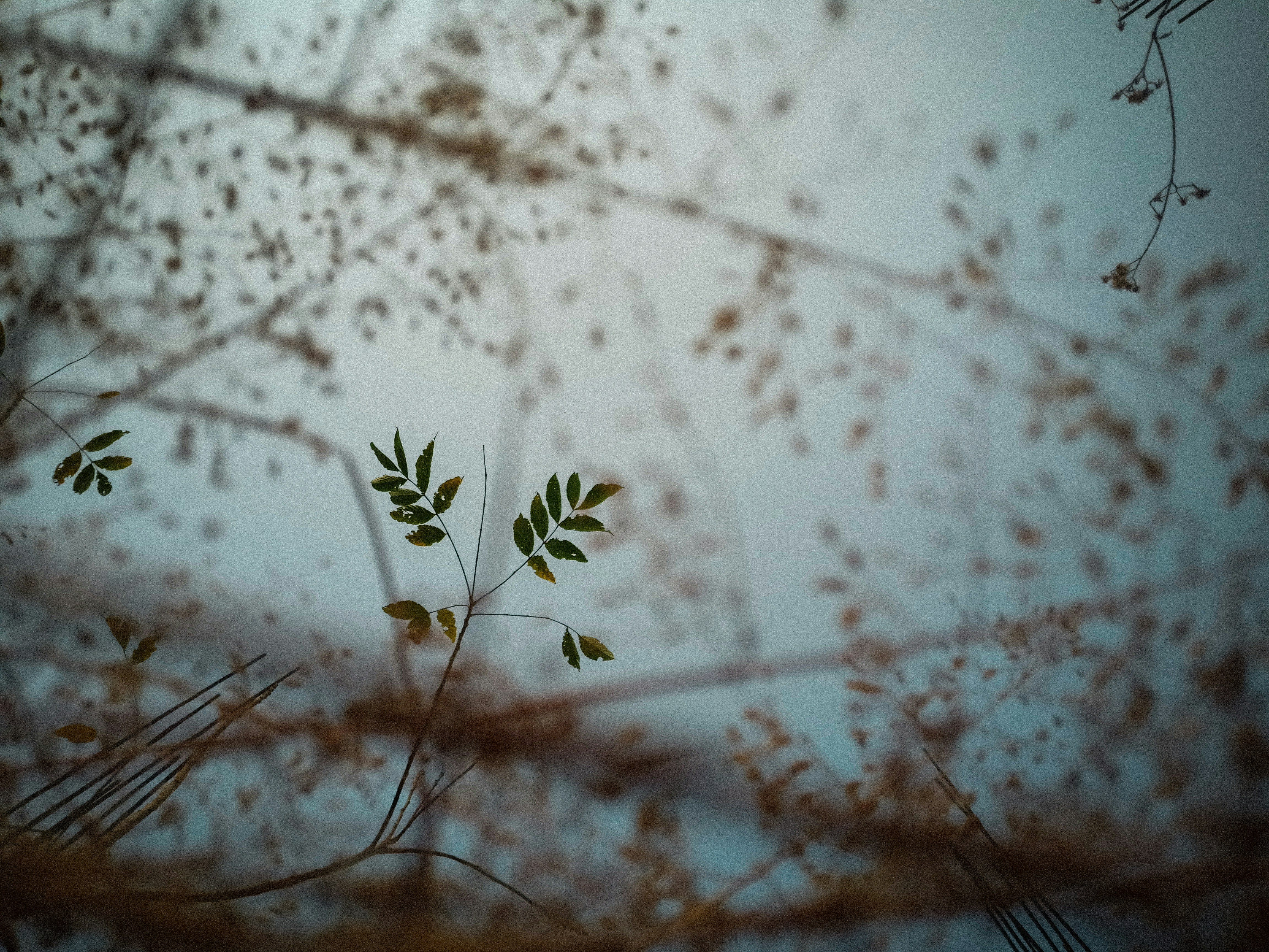 Photo by kaustabh2003