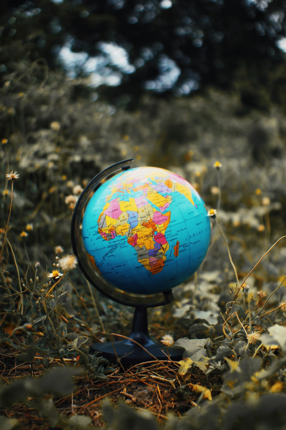 a blue and yellow globe sitting on top of a grass covered field