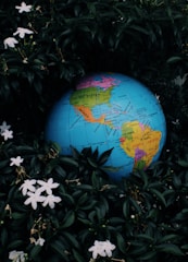 A globe is nestled among lush green leaves and white flowers. The map highlights countries from North and South America, with vibrant colors such as blue for the oceans and various hues for the countries.