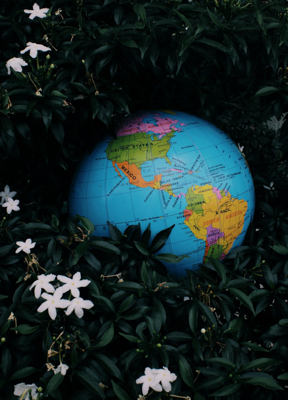 a blue earth globe surrounded by white flowers