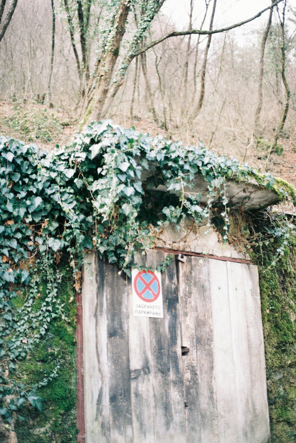 a wooden outhouse with ivy growing over it