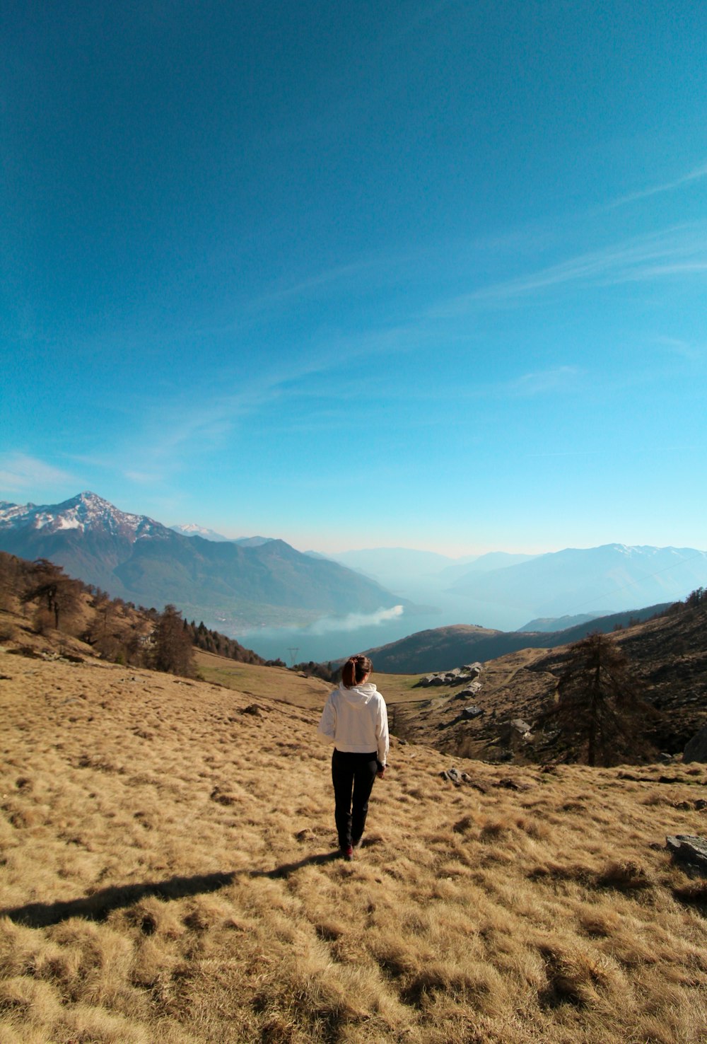 a person walking in a field with mountains in the background