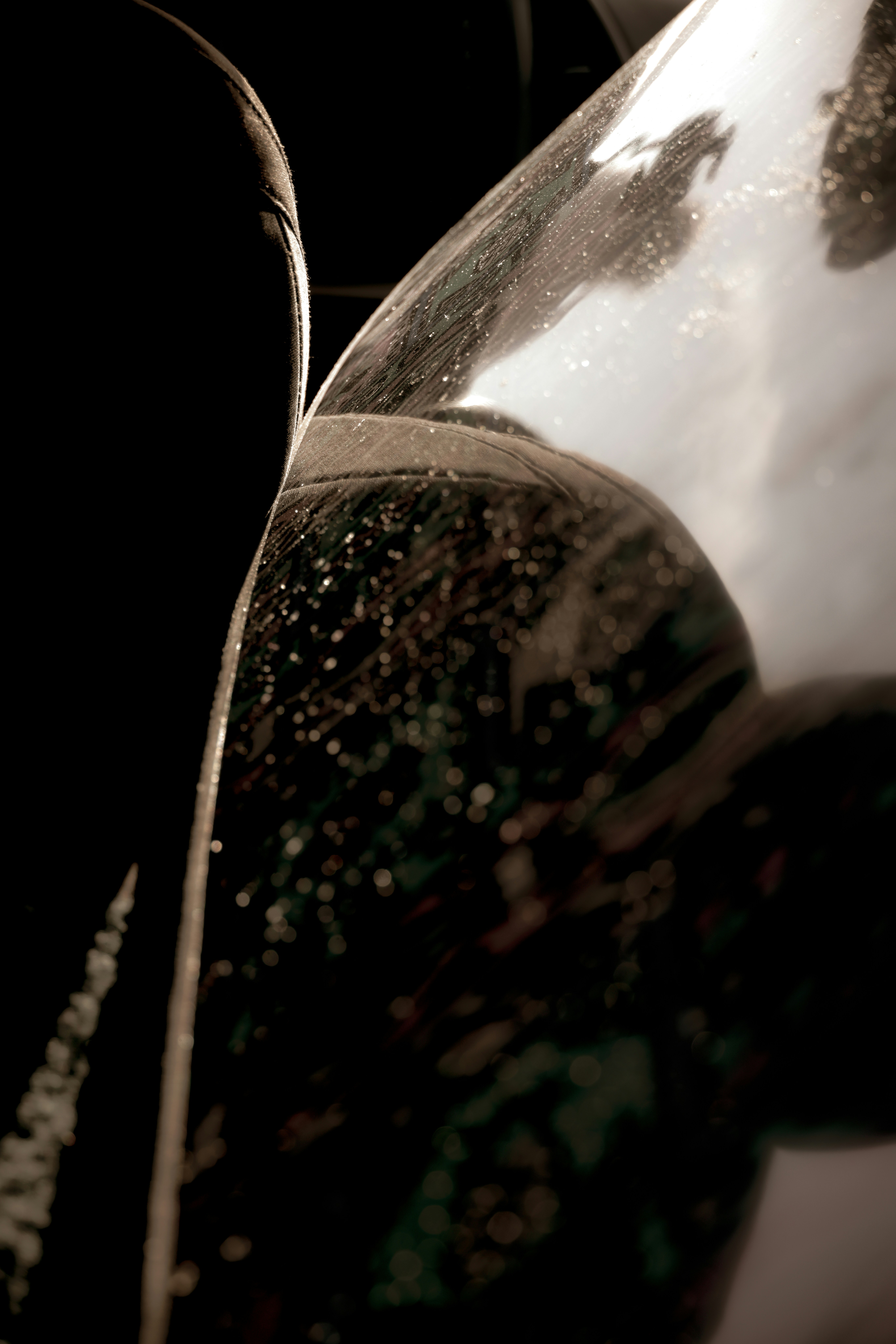 Photo by thetrentonsmith