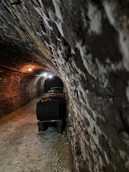 A dimly lit tunnel with a curved ceiling, composed of aged bricks. Several large wooden barrels are lined along one side on a wooden stand. The ground is uneven, and the ambiance is rustic and historical.