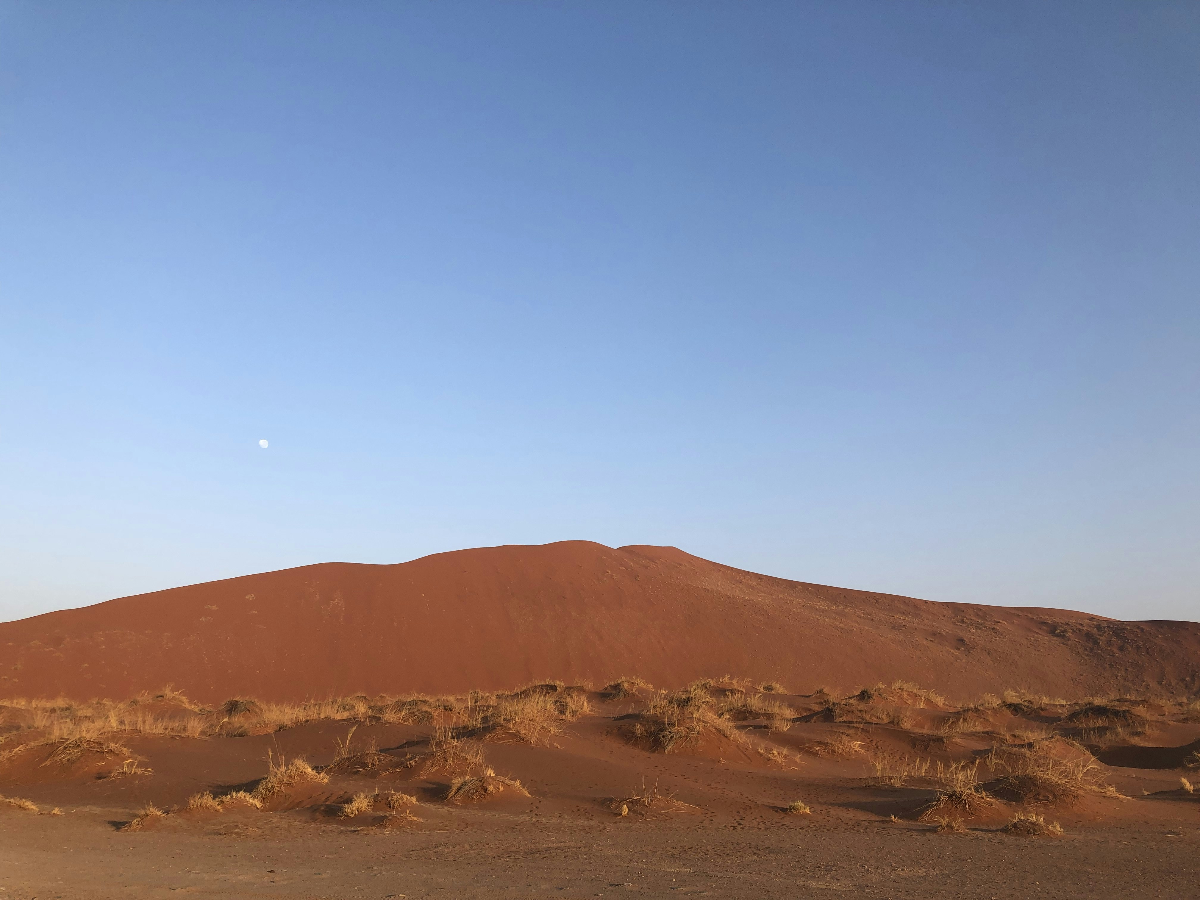 Cowirra, South Australia