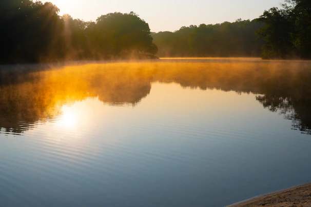 Gentle sunrise casting golden hues over a still lake, embodying peaceful beginnings.