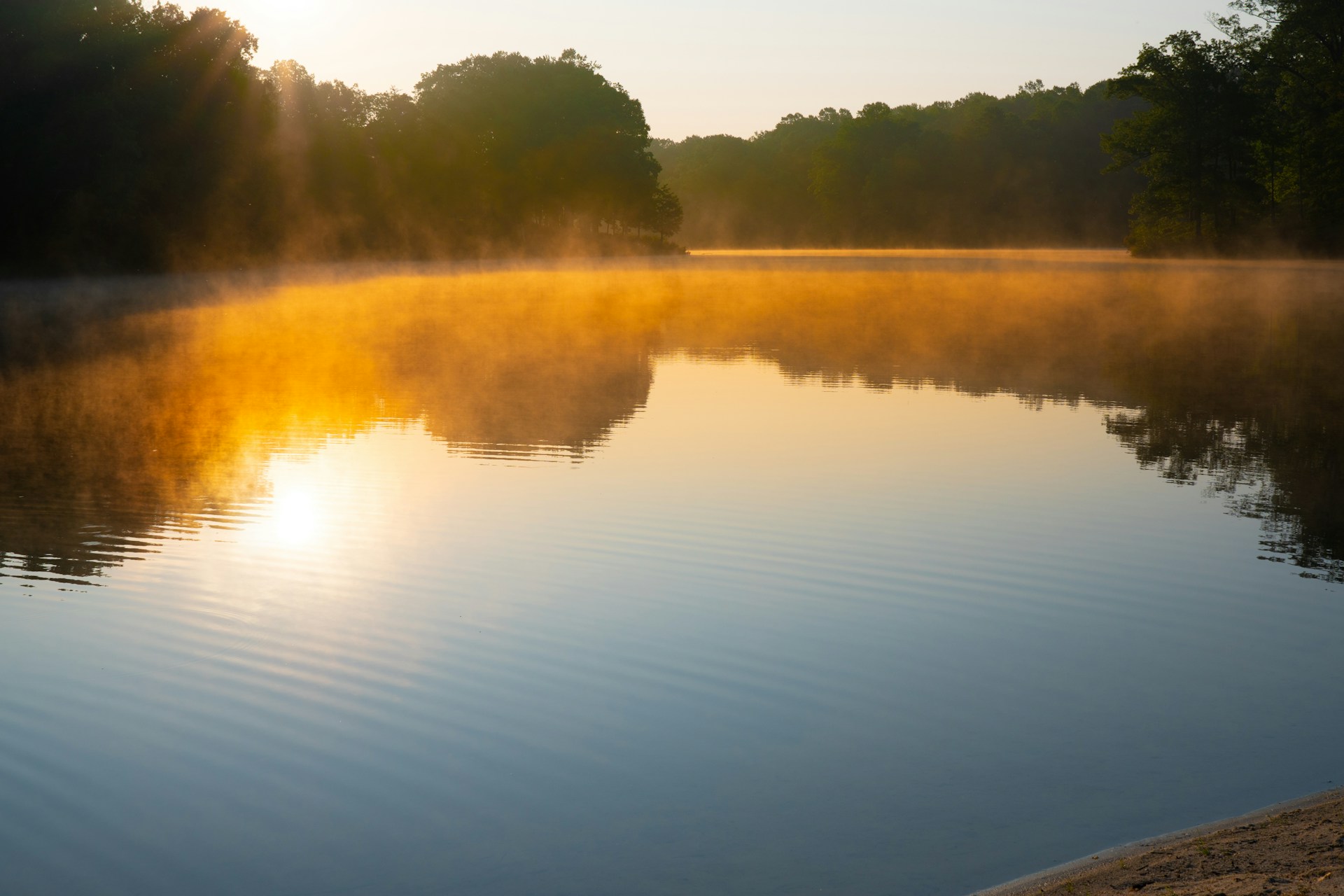 A serene sunrise casting golden light over a calm lake surrounded by misty trees.