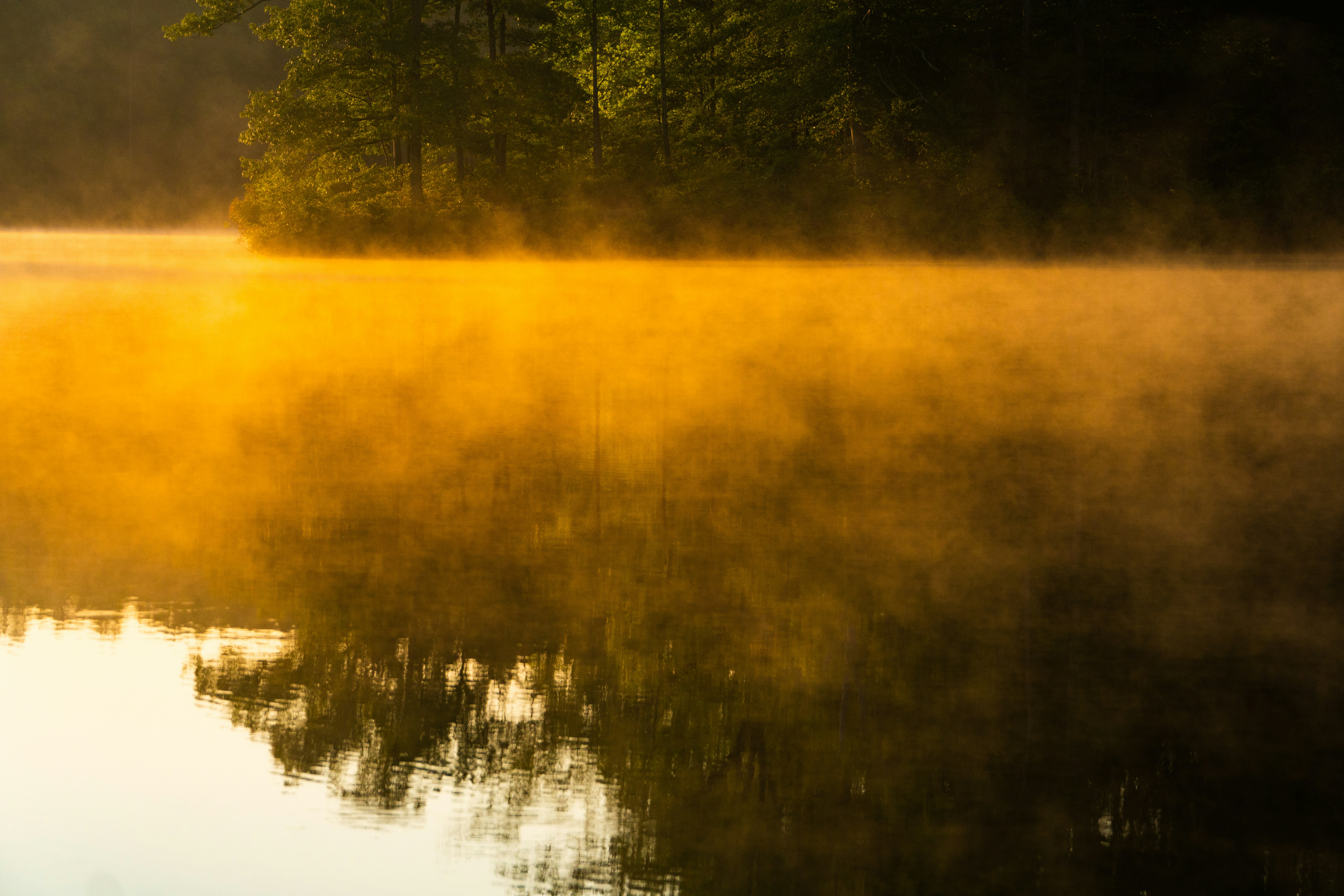 Photo by tripleeagle