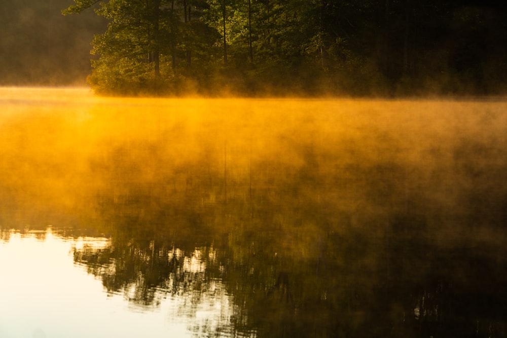 a body of water with trees in the background