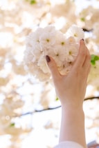 A delicate hand holding a cherry blossom with soft lighting