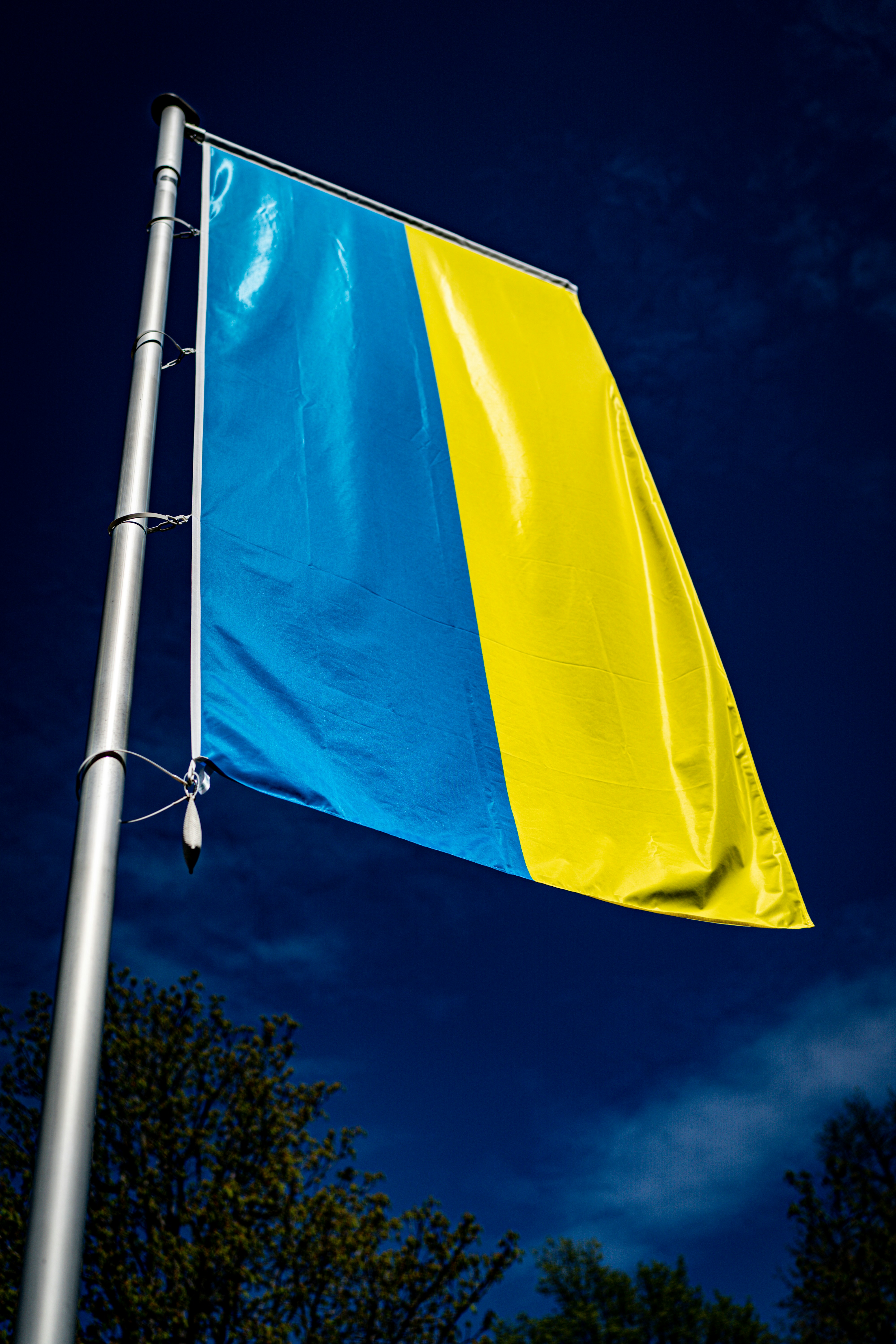 a blue and yellow flag on a pole