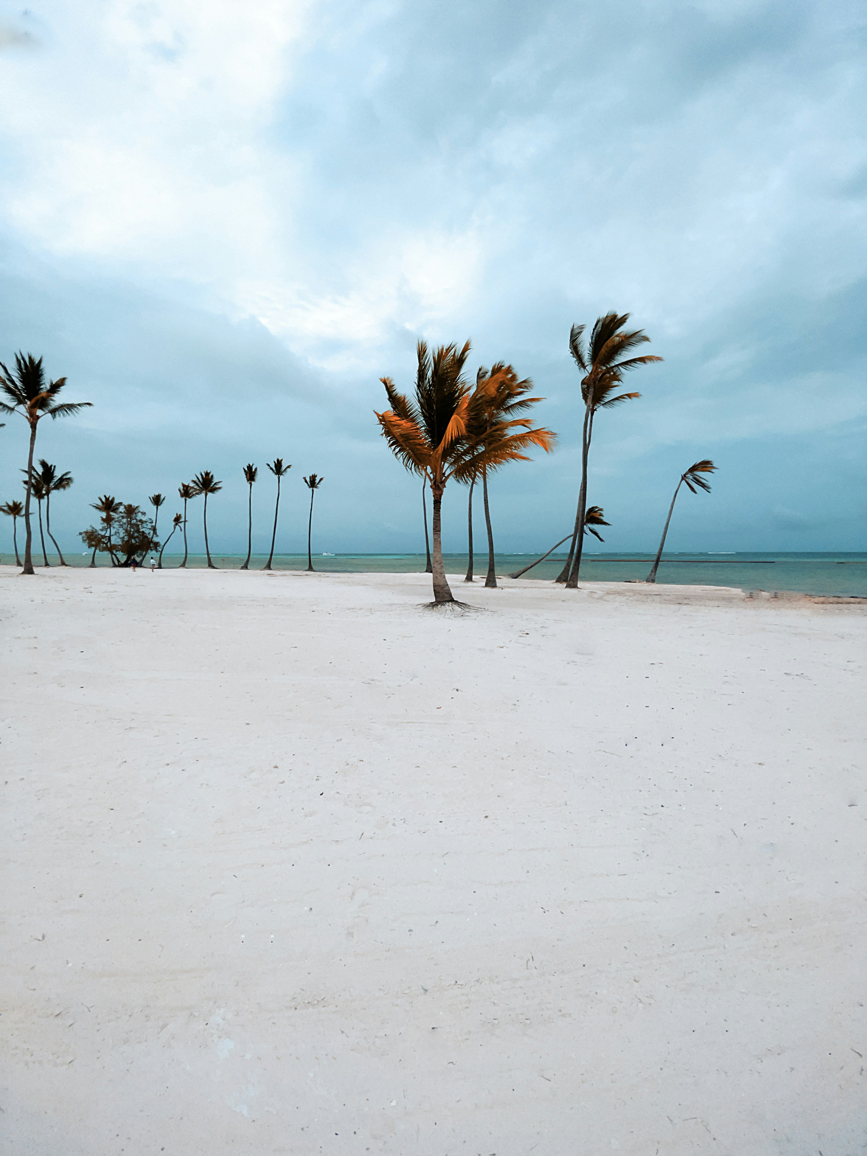 Photo by jonathanneversleeps