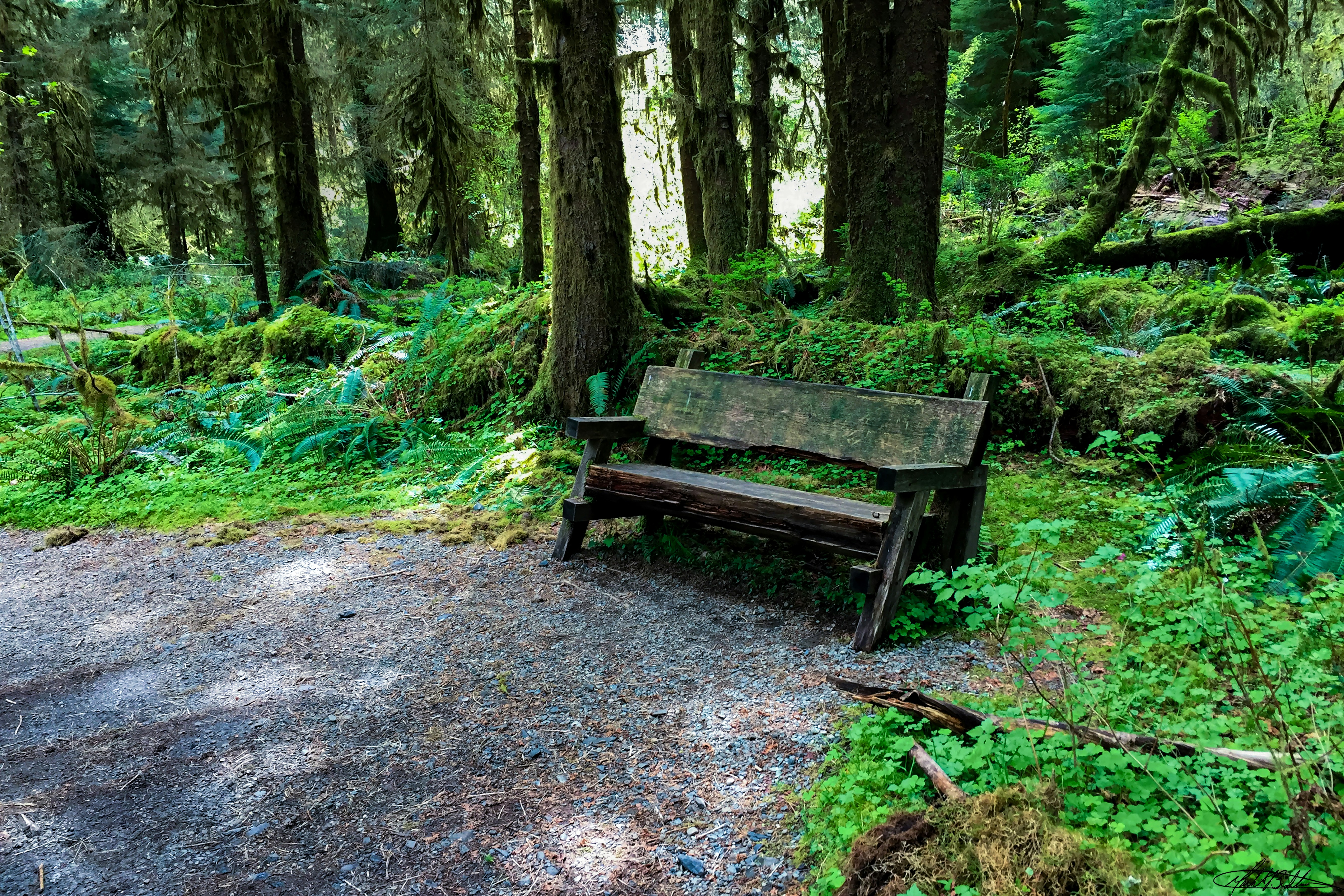 Photo by tripleeagle