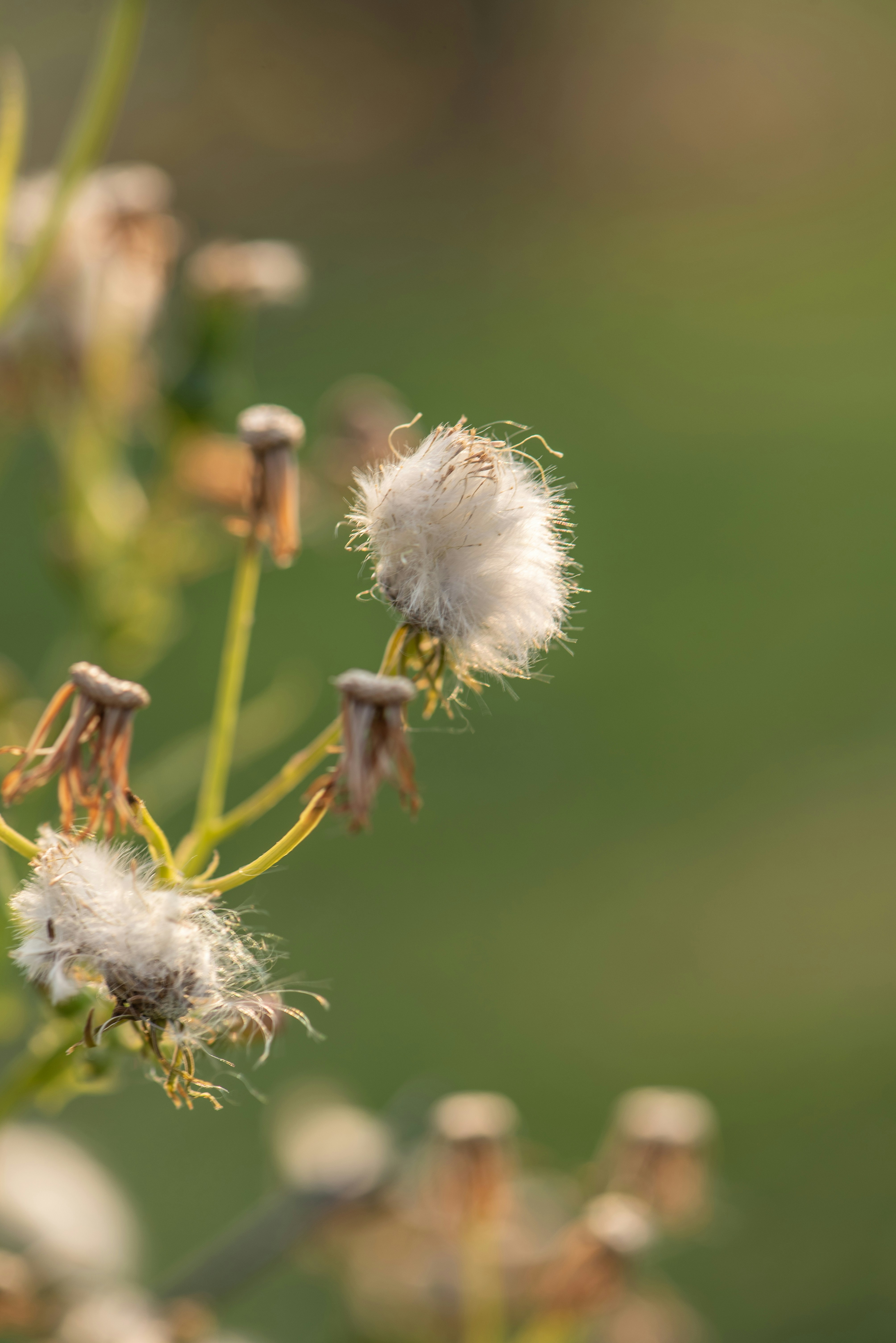 Photo by lehutch0110