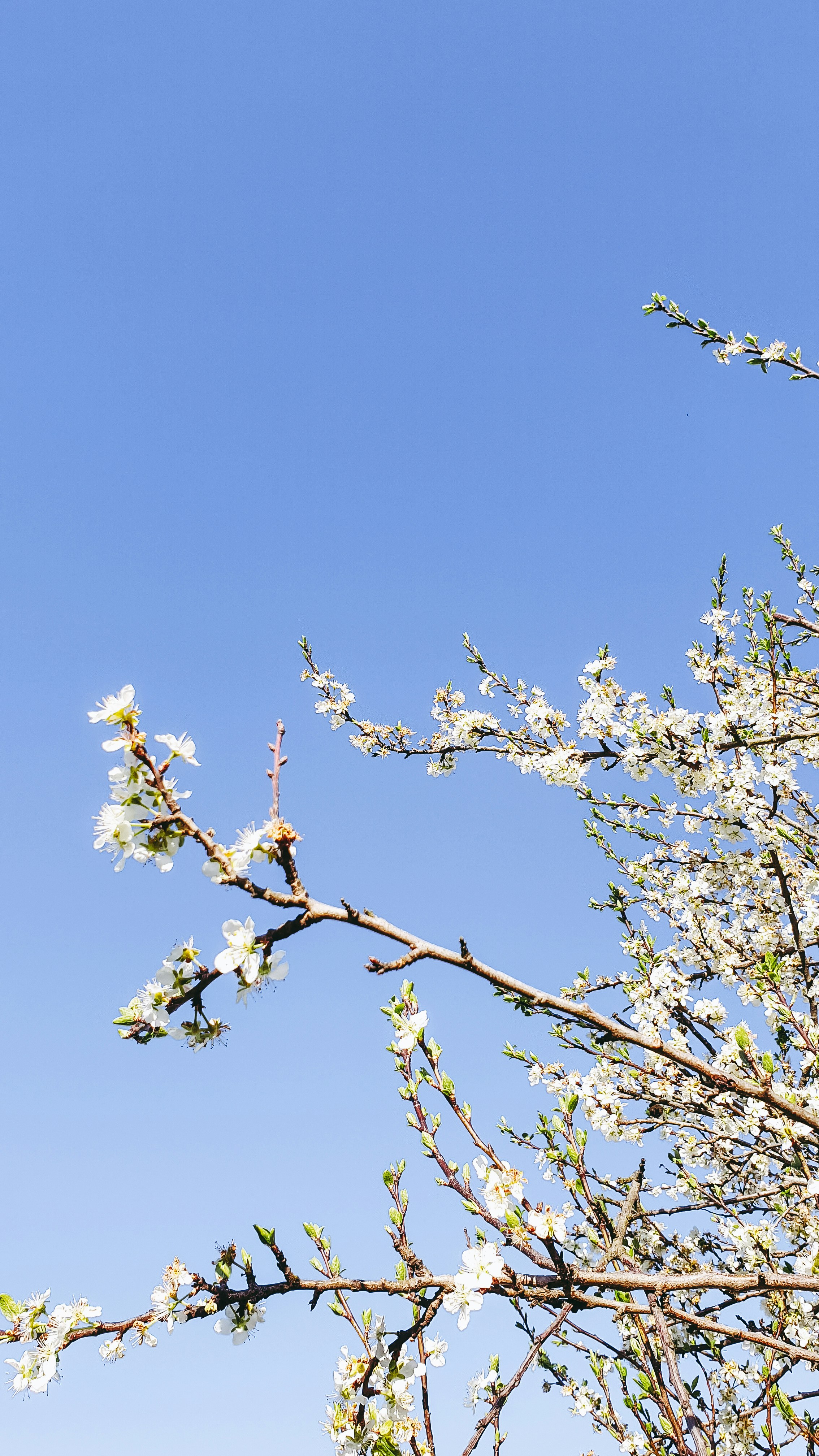 Photo by virussinside