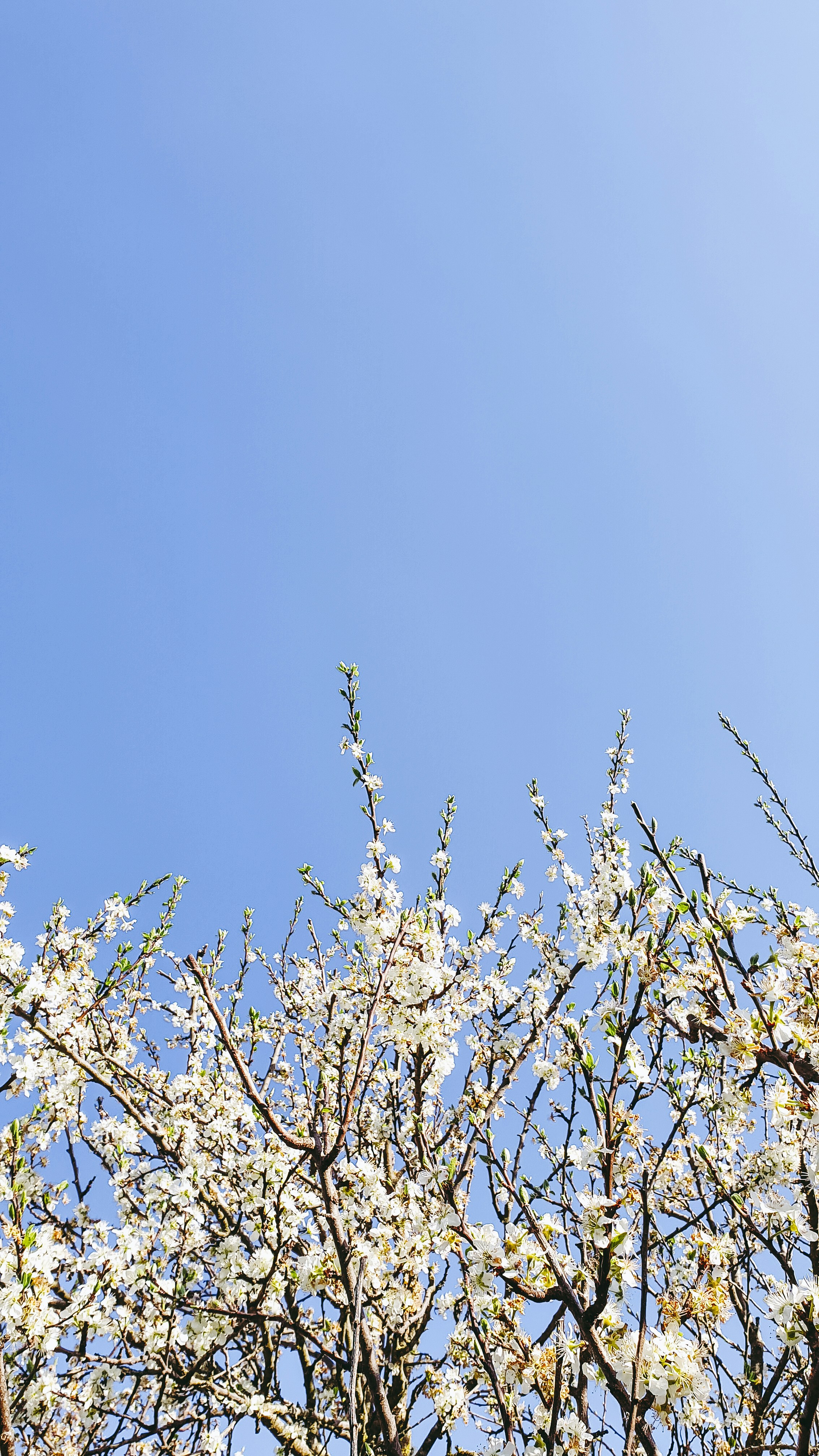 Photo by virussinside