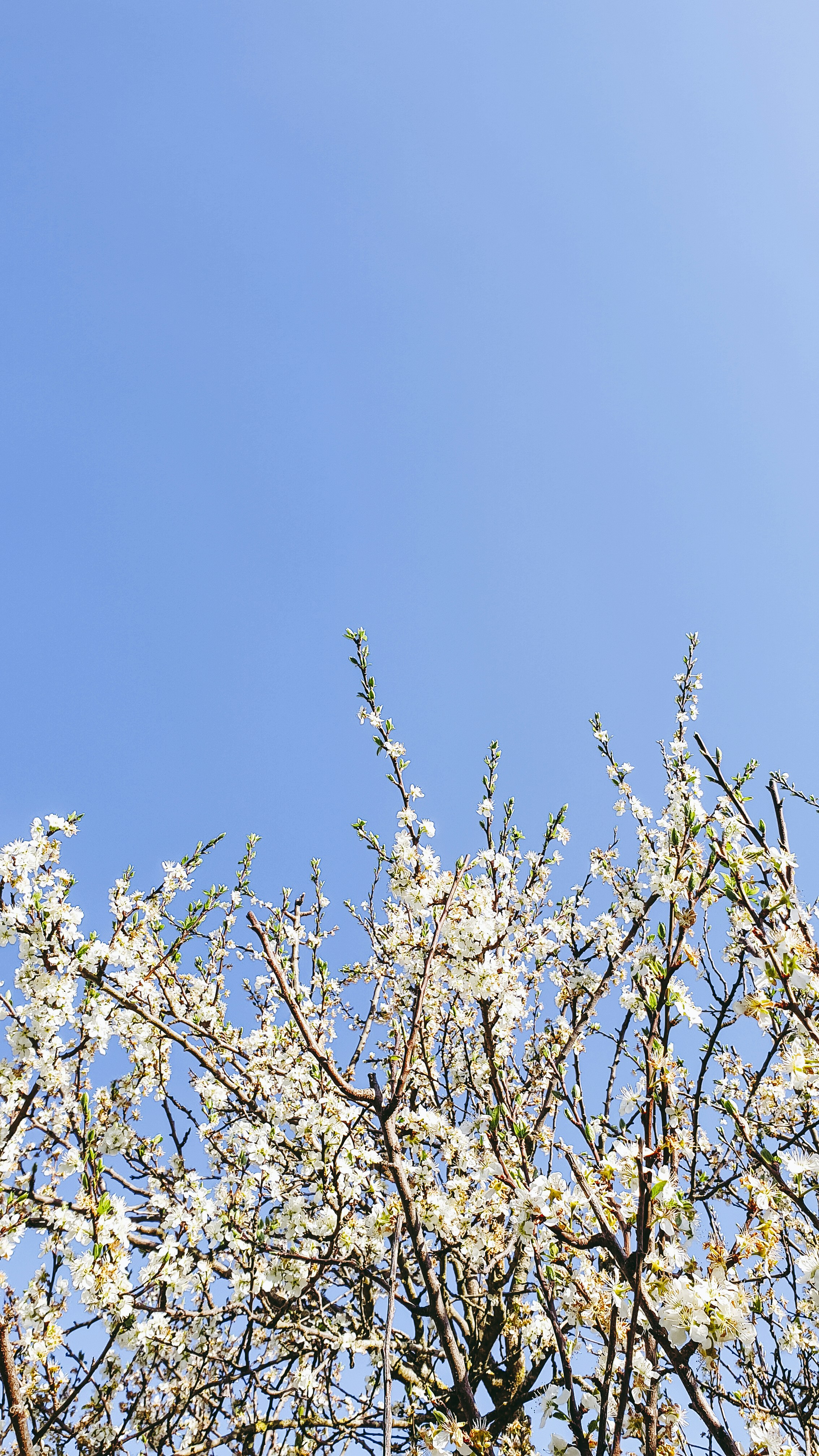 Photo by virussinside