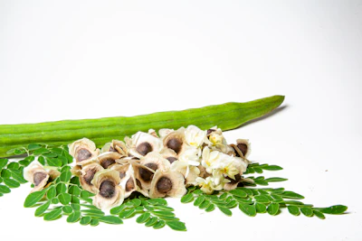 Moringa Drumstick Sahajan India — Superfood Tree Complete Guide